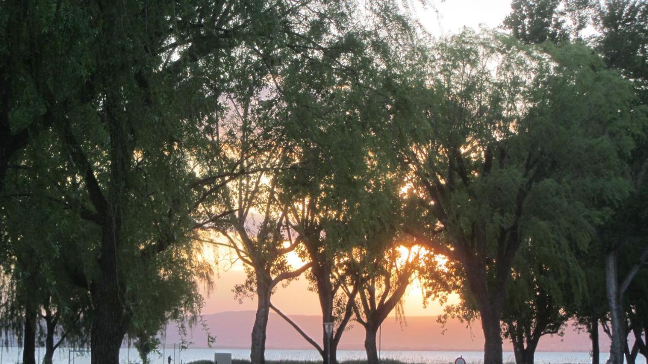 Appartement Am See Podersdorf am See Dış mekan fotoğraf
